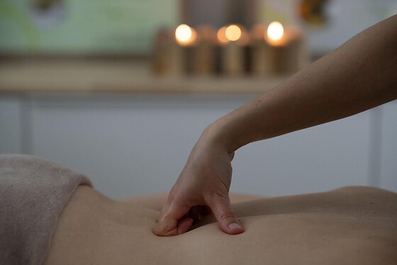 Toute en Beauté - photo 17