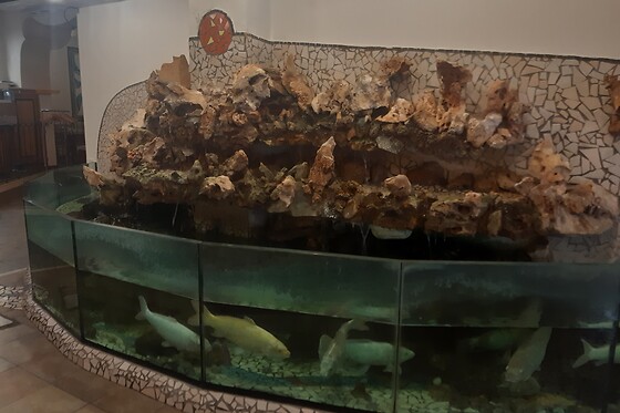 Area Nova - Ristorante e Pizzeria - photo 5