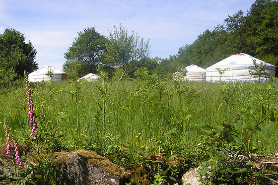 Les ânes de Vassivières - photo 2