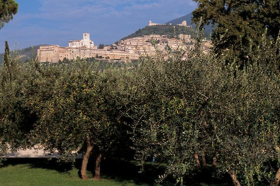 Saio Assisi - photo 1