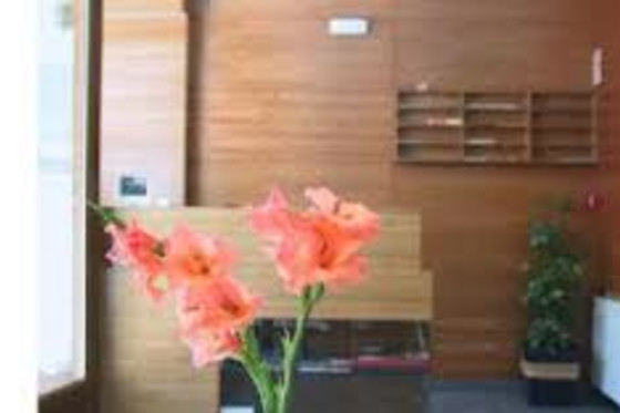 HOTEL EL ROBLE - photo 2