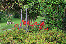 Castello Rosso