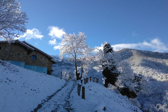 CASERIA LA INFIESTA - photo 2