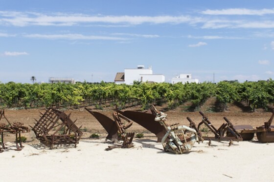 Tenuta Yala - photo 2