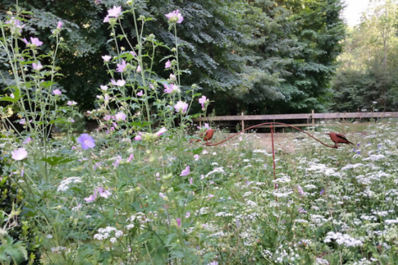 Les Naturelles Insolites - photo 7