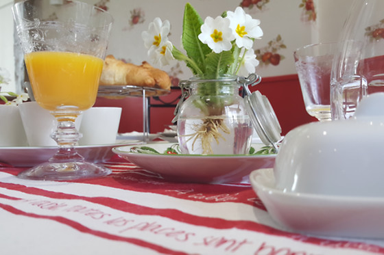 Maison d'hotes Cote Campagne - photo 2