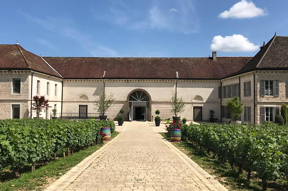 Domaine Famille Picard - photo 2