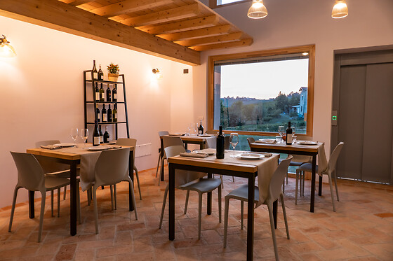 Azienda Agricola Malvicini - photo 5