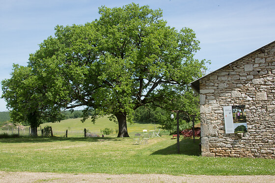 Domaine de Bel-Air - photo 19