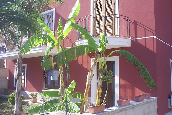 Villa Pollina B&B - photo 10