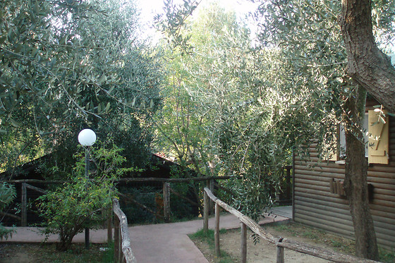 Caravelle Camping Village - photo 3