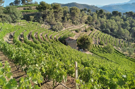 Azienda Ka Mancinè - photo 0