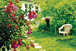 Agriturismo La Collina delle Streghe