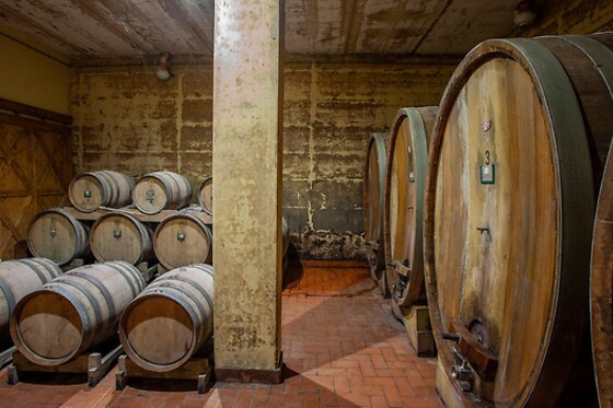 Tenuta Moriano - photo 7