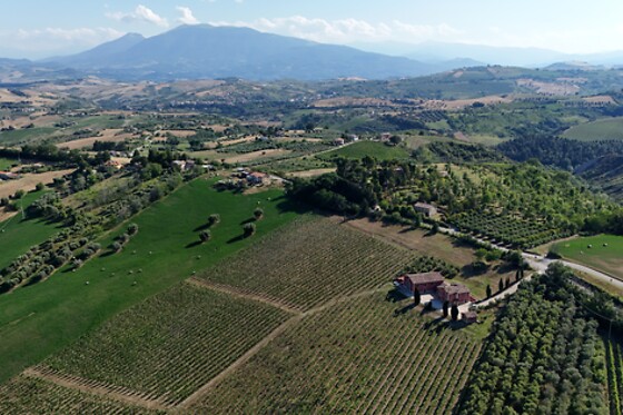 Cantina D'Erasmo - photo 2