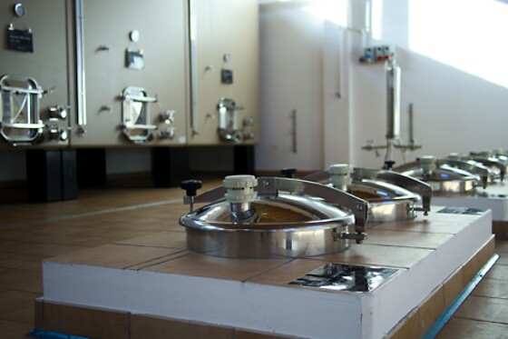 Cantina D'Erasmo - photo 4