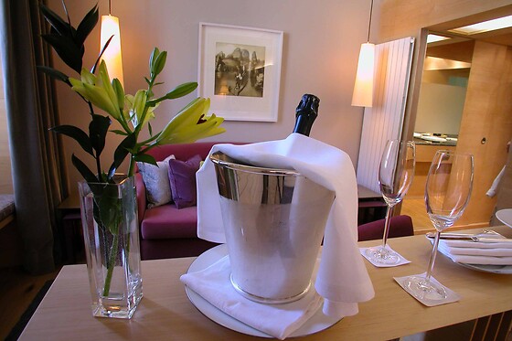 HOTEL RESORT BALNEARIO DE PANTICOSA - photo 30