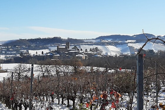 Montepascolo - photo 3