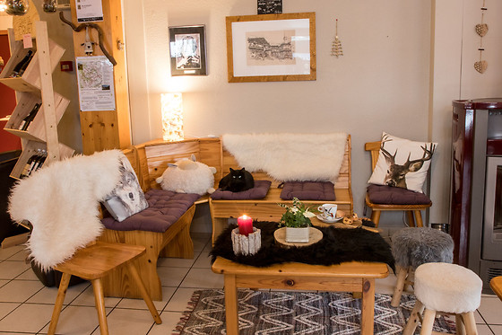 Chalet de la yodine - photo 2
