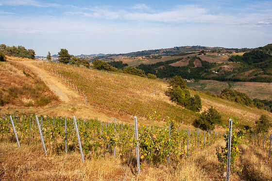 Franchina e Giarone - photo 6