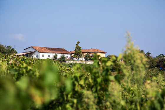 Azienda Agricola Boggero - photo 0