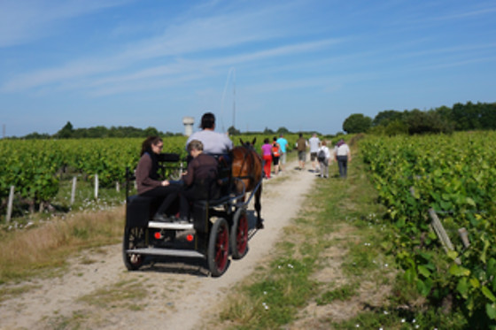 Le Jardin d'Edouard - photo 2