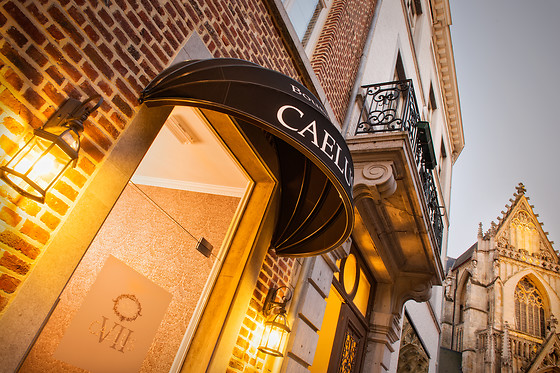 Boutique Hotel Caelus VII - photo 6