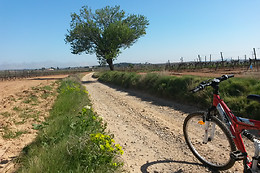 Gîtes Tout au sud de la France