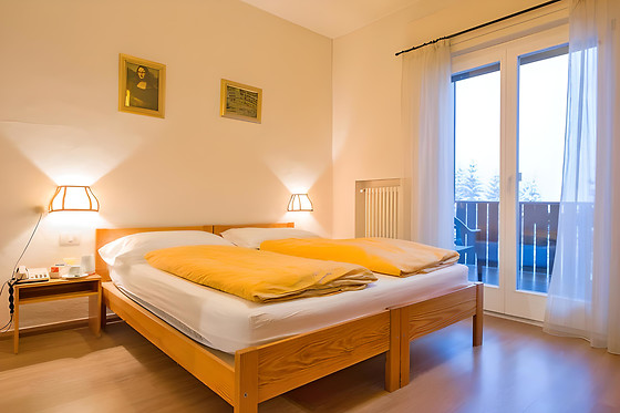 Park Hotel Regina delle Dolomiti - photo 3