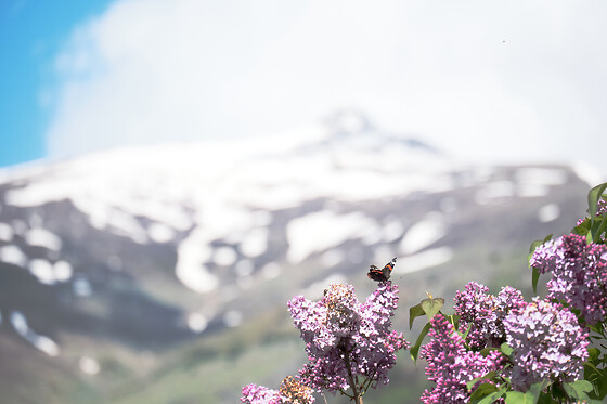 Rifugio Chionea - photo 11