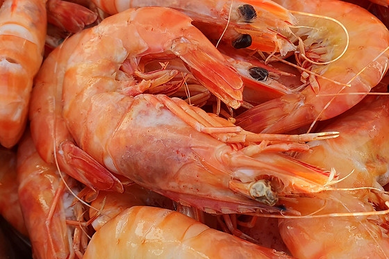 MARISQUEIRA SOTAVENTO - photo 2