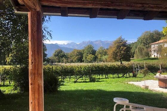 Azienda Agricola Viola - photo 2