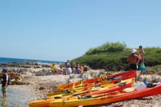 Seafirst Skylife Vision - photo 8