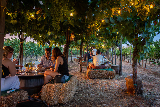 Cantina Costantini - photo 0