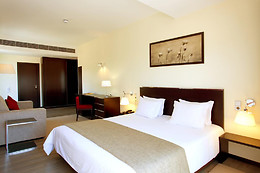 HOTEL SÃO PEDRO 3* (AROUCA)