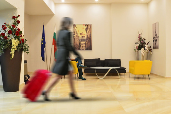 Rila Hotel Sofia - photo 2