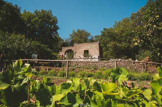 Tenuta del Cannavale - photo 3