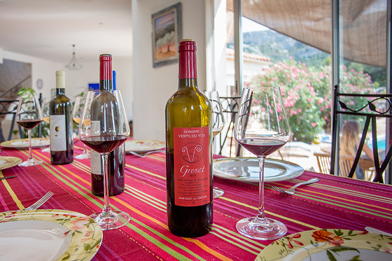 Domaine Vents du Sud - photo 3
