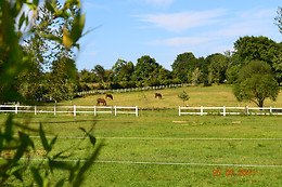 Domaine des Vaulx