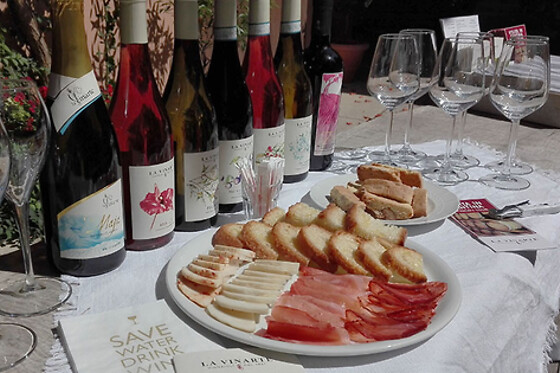 AZIENDA AGRICOLA LA VINARTE - photo 4