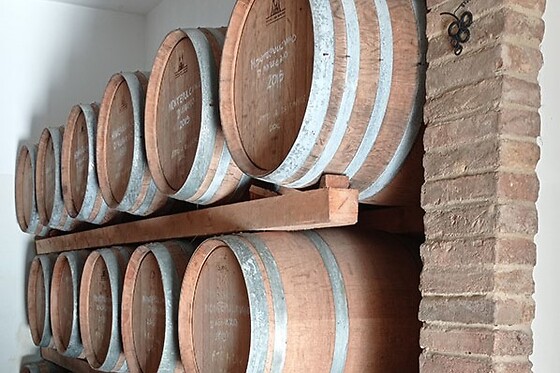 AZIENDA AGRICOLA LA VINARTE - photo 5