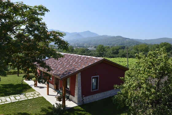 Cantina del Barone - photo 3