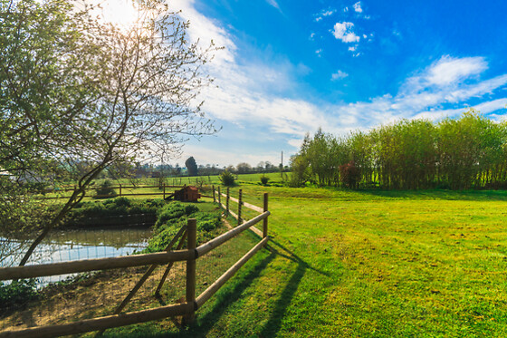 La Ferme des Epis - photo 1