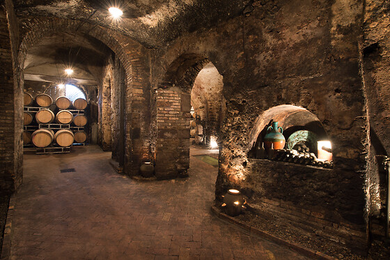 Cantine del Notaio - photo 3