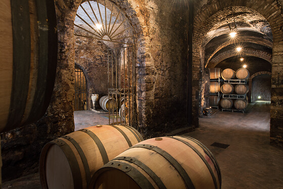 Cantine del Notaio - photo 2