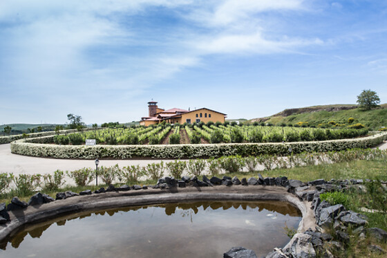 Cantine del Notaio - photo 7