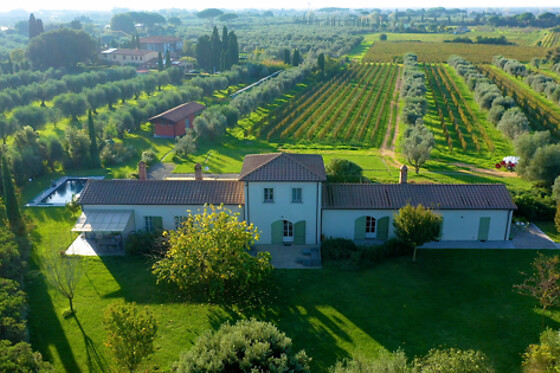 Tenuta Campo al Signore - photo 4
