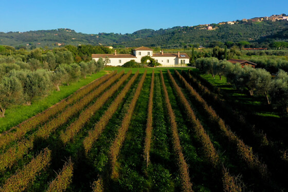 Tenuta Campo al Signore - photo 5